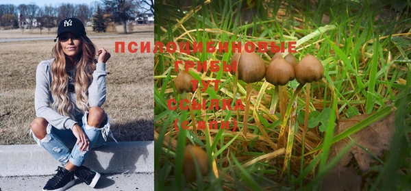 ГАЛЛЮЦИНОГЕННЫЕ ГРИБЫ Алексеевка