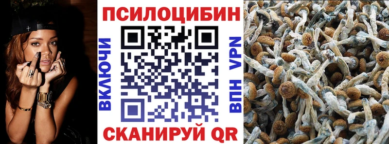 Псилоцибиновые грибы прущие грибы  это официальный сайт  Тимашёвск 
